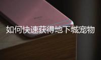 如何快速获得地下城宠物装备