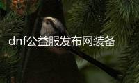 dnf公益服发布网装备选择的终极指南