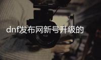 dnf发布网新号升级的五大技巧